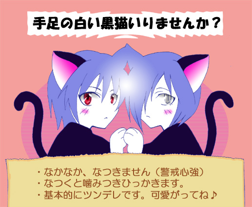 ツンデレ猫